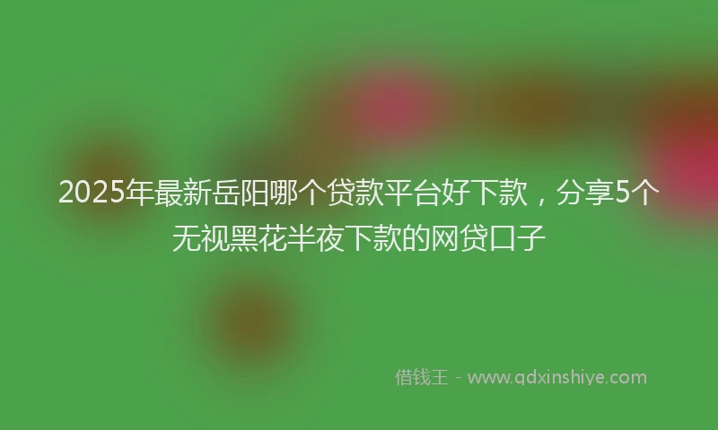 2025年最新岳阳哪个贷款平台好下款，分享5个无视黑花半夜下款的网贷口子