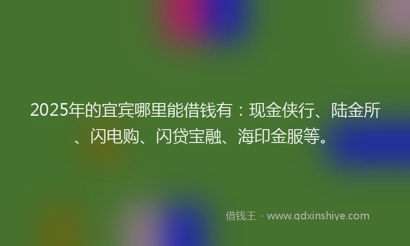 2025年的宜宾哪里能借钱有：现金侠行、陆金所、闪电购、闪贷宝融、海印金服等。