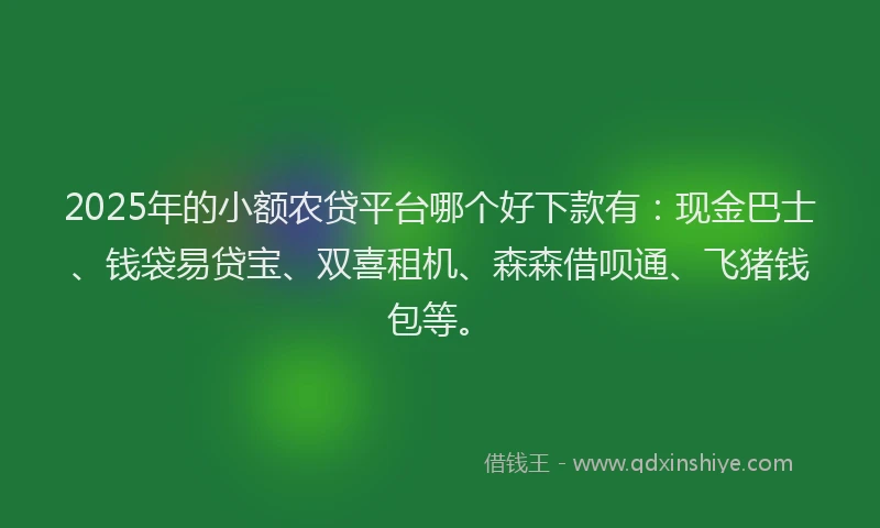 2025年的小额农贷平台哪个好下款有：现金巴士、钱袋易贷宝、双喜租机、森森借呗通、飞猪钱包等。
