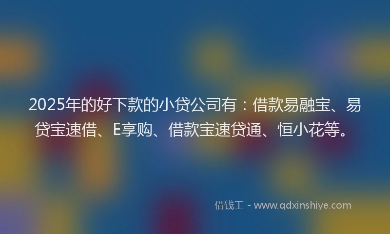 2025年的好下款的小贷公司有：借款易融宝、易贷宝速借、E享购、借款宝速贷通、恒小花等。