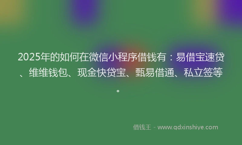 2025年的如何在微信小程序借钱有：易借宝速贷、维维钱包、现金快贷宝、甄易借通、私立签等。