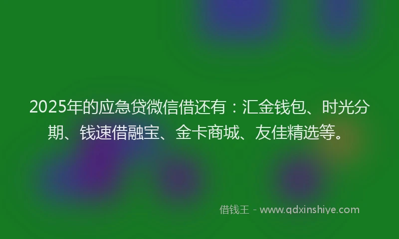 2025年的应急贷微信借还有：汇金钱包、时光分期、钱速借融宝、金卡商城、友佳精选等。