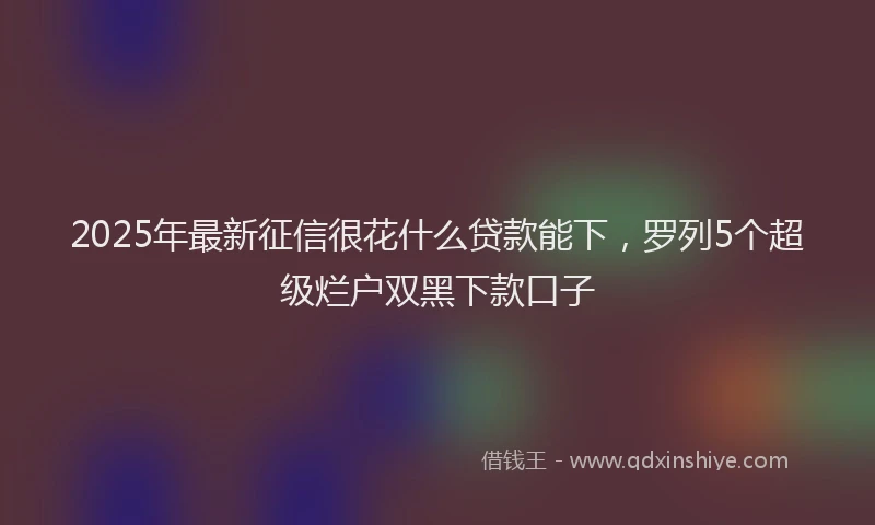 2025年最新征信很花什么贷款能下，罗列5个超级烂户双黑下款口子