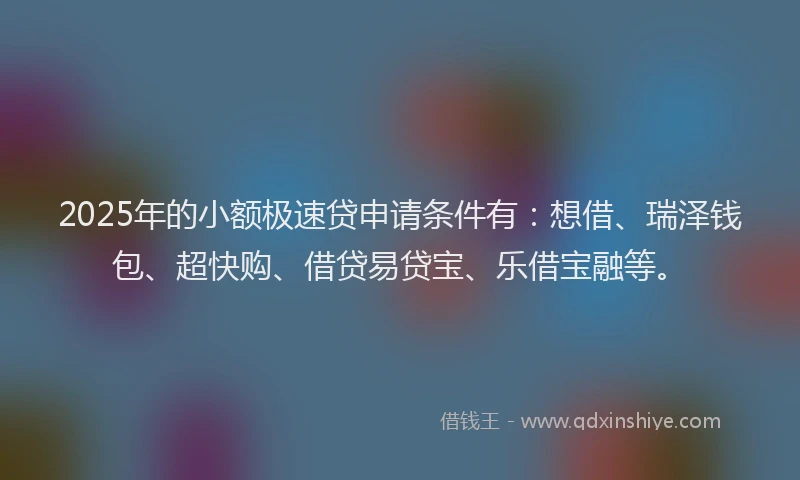 2025年的小额极速贷申请条件有：想借、瑞泽钱包、超快购、借贷易贷宝、乐借宝融等。