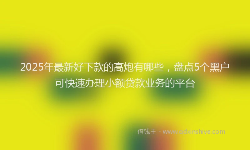 2025年最新好下款的高炮有哪些，盘点5个黑户可快速办理小额贷款业务的平台