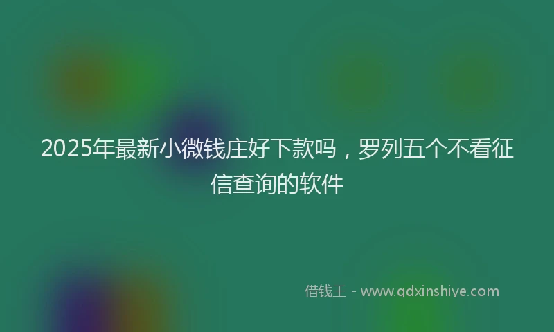 2025年最新小微钱庄好下款吗，罗列五个不看征信查询的软件