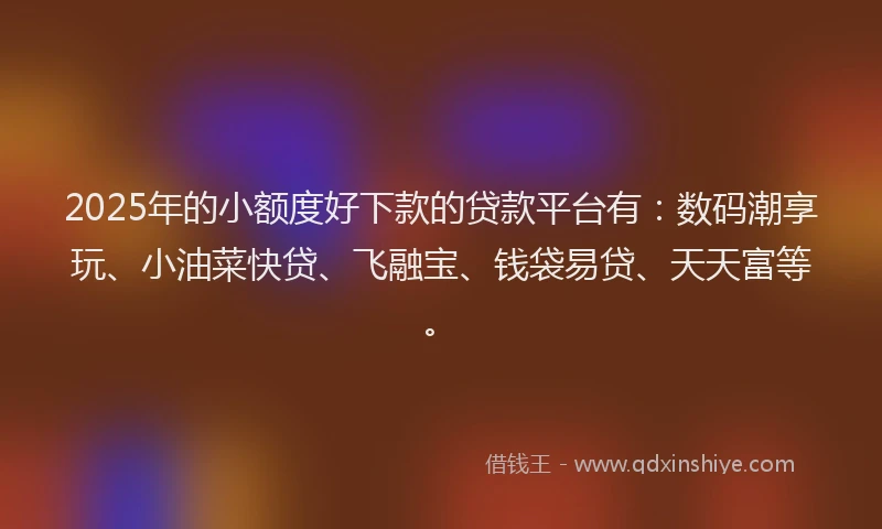 2025年的小额度好下款的贷款平台有：数码潮享玩、小油菜快贷、飞融宝、钱袋易贷、天天富等。