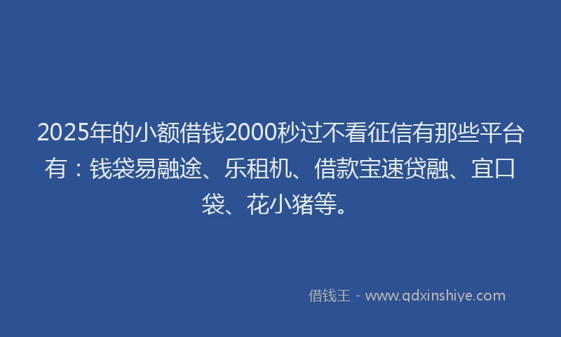 2025年的小额借钱2000秒过不看征信有那些平台有：钱袋易融途、乐租机、借款宝速贷融、宜口袋、花小猪等。