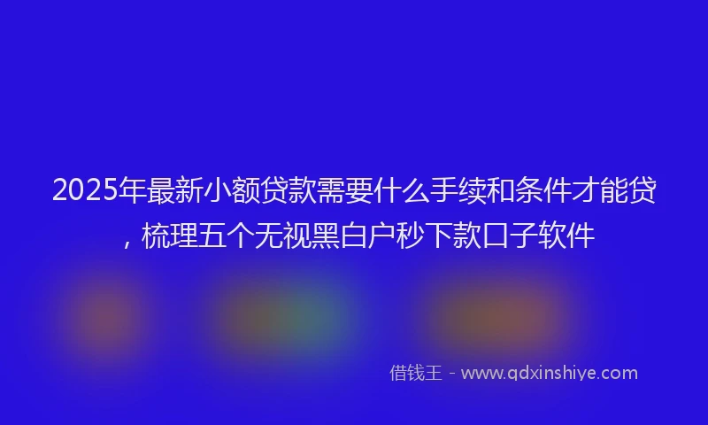 2025年最新小额贷款需要什么手续和条件才能贷，梳理五个无视黑白户秒下款口子软件