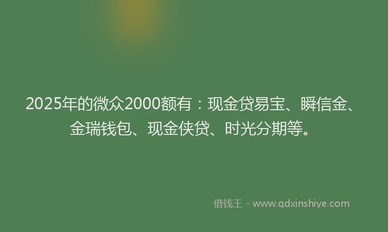 2025年的微众2000额有：现金贷易宝、瞬信金、金瑞钱包、现金侠贷、时光分期等。