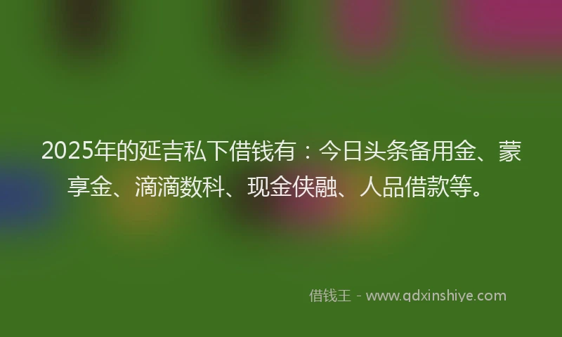 2025年的延吉私下借钱有：今日头条备用金、蒙享金、滴滴数科、现金侠融、人品借款等。