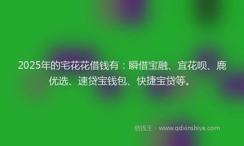 2025年的宅花花借钱有：瞬借宝融、宜花呗、鹿优选、速贷宝钱包、快捷宝贷等。