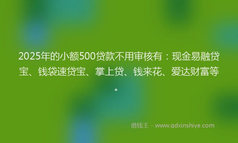 2025年的小额500贷款不用审核有：现金易融贷宝、钱袋速贷宝、掌上贷、钱来花、爱达财富等。