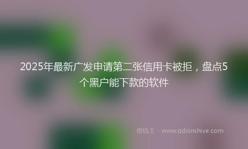 2025年最新广发申请第二张信用卡被拒，盘点5个黑户能下款的软件
