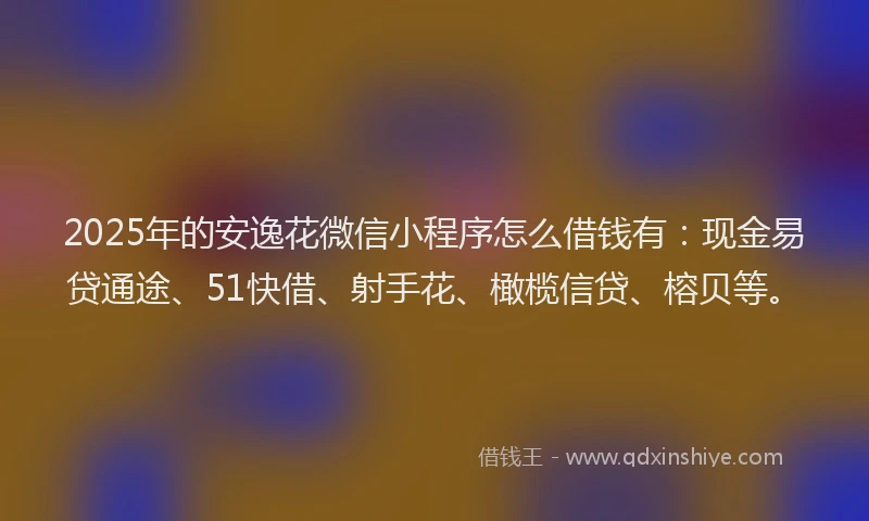 2025年的安逸花微信小程序怎么借钱有：现金易贷通途、51快借、射手花、橄榄信贷、榕贝等。