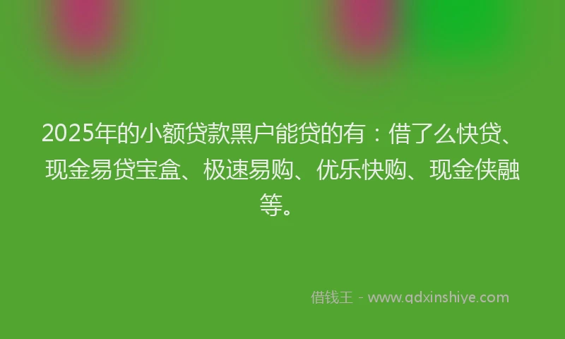 2025年的小额贷款黑户能贷的有：借了么快贷、现金易贷宝盒、极速易购、优乐快购、现金侠融等。