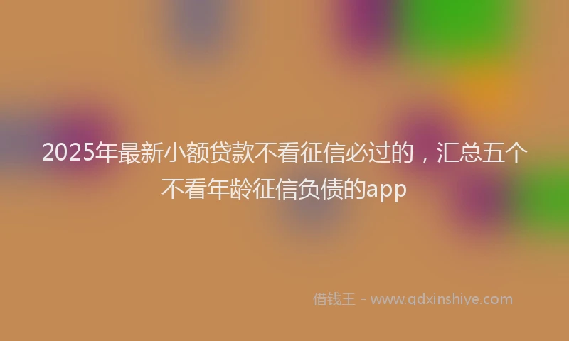 2025年最新小额贷款不看征信必过的，汇总五个不看年龄征信负债的app