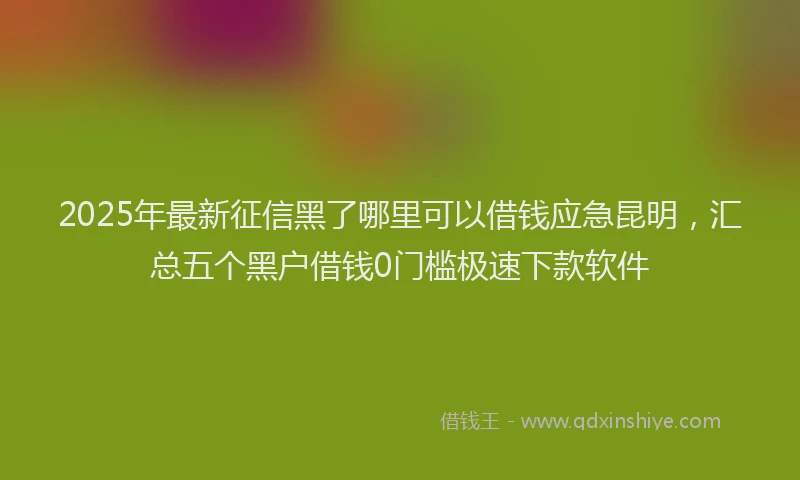 2025年最新征信黑了哪里可以借钱应急昆明，汇总五个黑户借钱0门槛极速下款软件