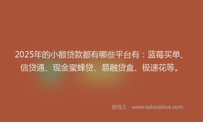 2025年的小额贷款都有哪些平台有：蓝莓买单、信贷通、现金蜜蜂贷、易融贷盒、极速花等。