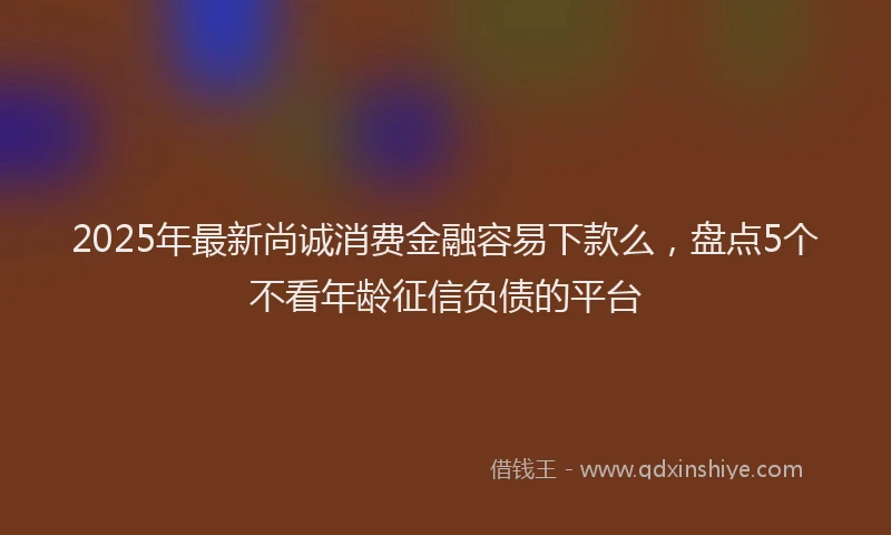 2025年最新尚诚消费金融容易下款么，盘点5个不看年龄征信负债的平台