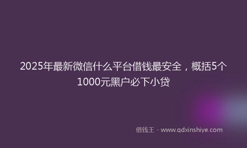2025年最新微信什么平台借钱最安全，概括5个1000元黑户必下小贷