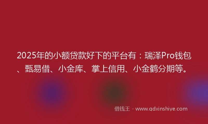 2025年的小额贷款好下的平台有：瑞泽Pro钱包、甄易借、小金库、掌上信用、小金鹤分期等。