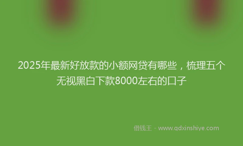 2025年最新好放款的小额网贷有哪些，梳理五个无视黑白下款8000左右的口子