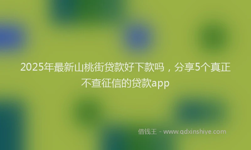 2025年最新山桃街贷款好下款吗，分享5个真正不查征信的贷款app