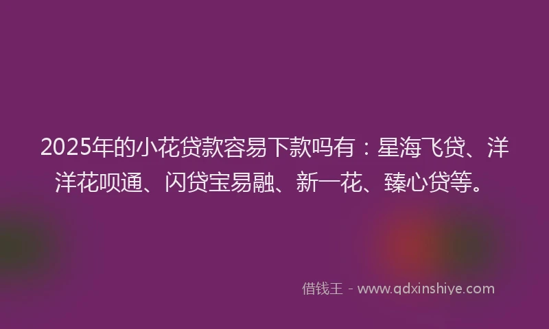 2025年的小花贷款容易下款吗有：星海飞贷、洋洋花呗通、闪贷宝易融、新一花、臻心贷等。