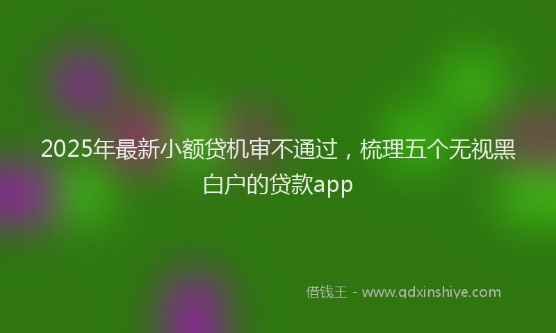 2025年最新小额贷机审不通过，梳理五个无视黑白户的贷款app
