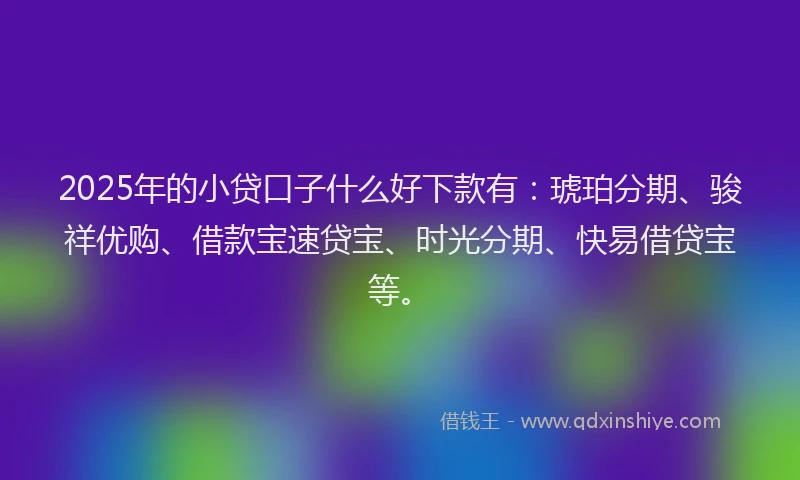 2025年的小贷口子什么好下款有：琥珀分期、骏祥优购、借款宝速贷宝、时光分期、快易借贷宝等。