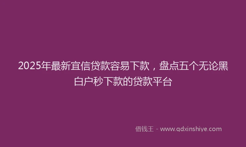 2025年最新宜信贷款容易下款，盘点五个无论黑白户秒下款的贷款平台