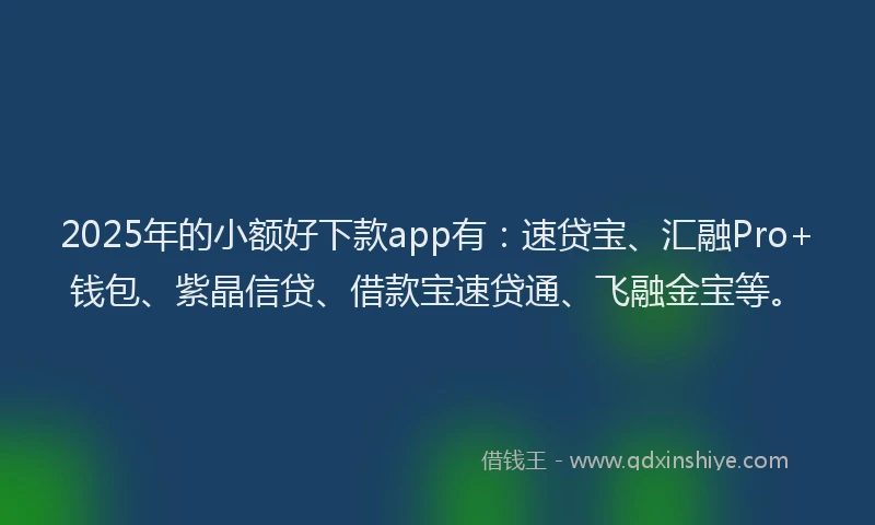 2025年的小额好下款app有：速贷宝、汇融Pro+钱包、紫晶信贷、借款宝速贷通、飞融金宝等。