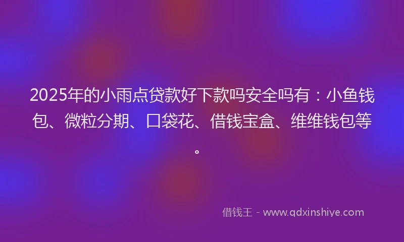 2025年的小雨点贷款好下款吗安全吗有：小鱼钱包、微粒分期、口袋花、借钱宝盒、维维钱包等。