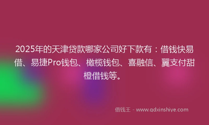 2025年的天津贷款哪家公司好下款有：借钱快易借、易捷Pro钱包、橄榄钱包、喜融信、翼支付甜橙借钱等。