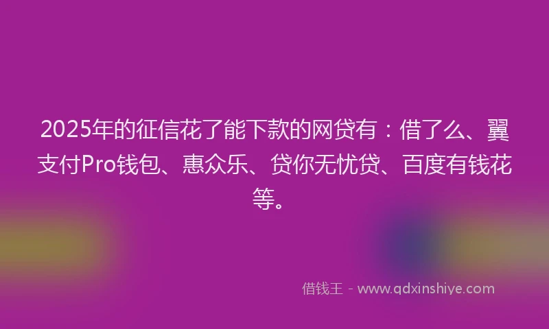 2025年的征信花了能下款的网贷有：借了么、翼支付Pro钱包、惠众乐、贷你无忧贷、百度有钱花等。