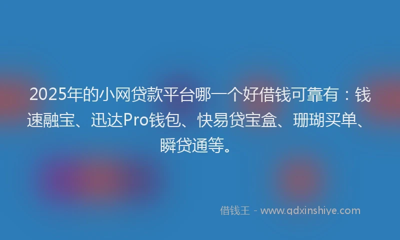 2025年的小网贷款平台哪一个好借钱可靠有：钱速融宝、迅达Pro钱包、快易贷宝盒、珊瑚买单、瞬贷通等。