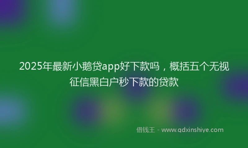 2025年最新小鹅贷app好下款吗，概括五个无视征信黑白户秒下款的贷款