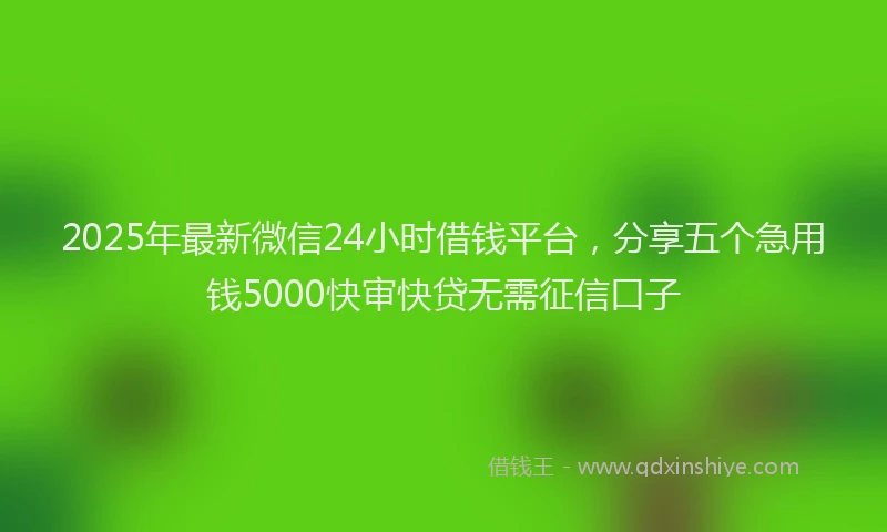 2025年最新微信24小时借钱平台，分享五个急用钱5000快审快贷无需征信口子