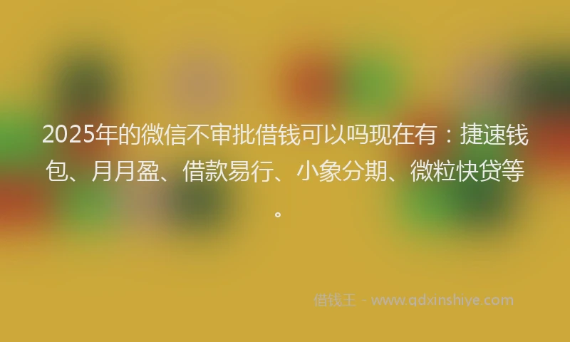 2025年的微信不审批借钱可以吗现在有：捷速钱包、月月盈、借款易行、小象分期、微粒快贷等。