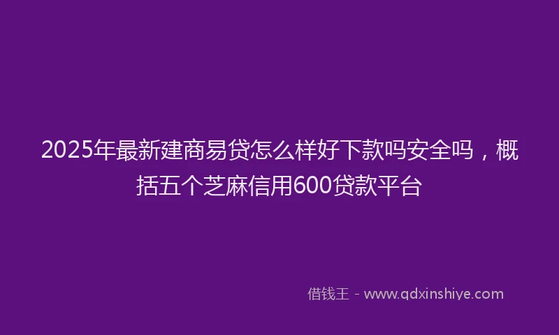 2025年最新建商易贷怎么样好下款吗安全吗，概括五个芝麻信用600贷款平台