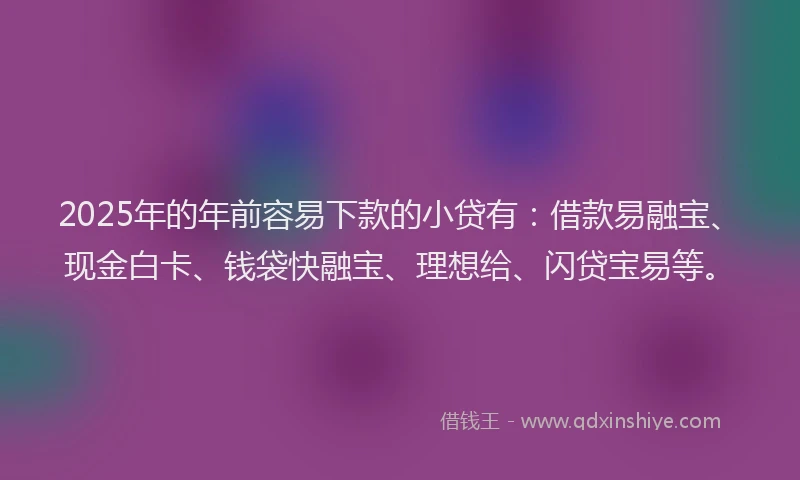 2025年的年前容易下款的小贷有：借款易融宝、现金白卡、钱袋快融宝、理想给、闪贷宝易等。