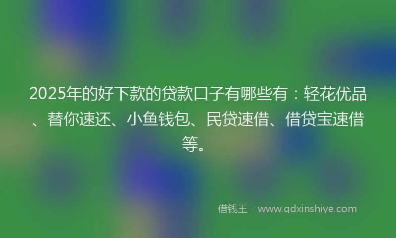 2025年的好下款的贷款口子有哪些有：轻花优品、替你速还、小鱼钱包、民贷速借、借贷宝速借等。