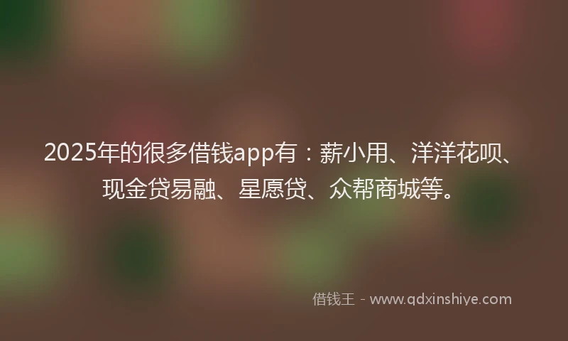 2025年的很多借钱app有：薪小用、洋洋花呗、现金贷易融、星愿贷、众帮商城等。