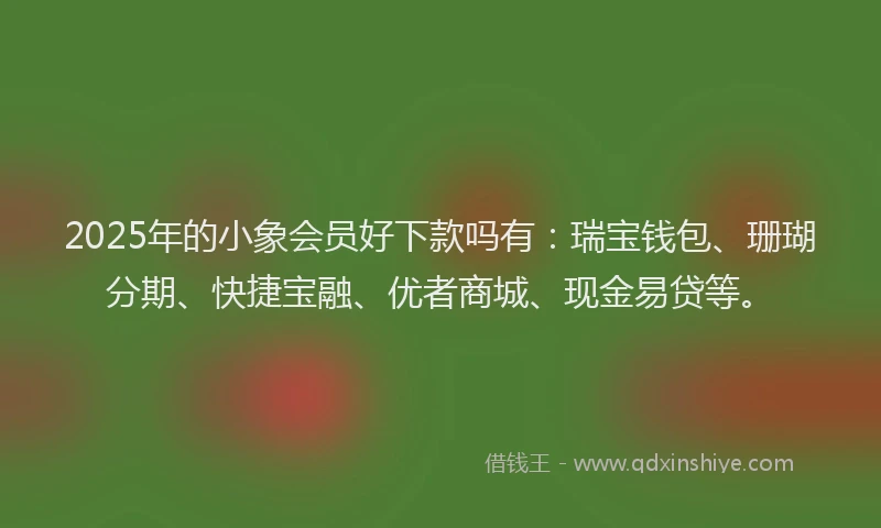 2025年的小象会员好下款吗有：瑞宝钱包、珊瑚分期、快捷宝融、优者商城、现金易贷等。