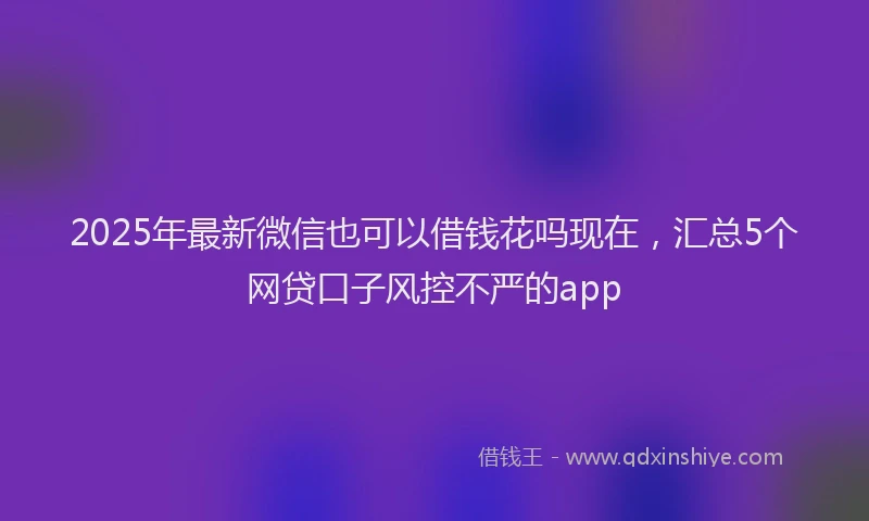 2025年最新微信也可以借钱花吗现在，汇总5个网贷口子风控不严的app