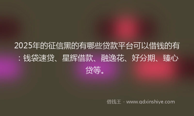 2025年的征信黑的有哪些贷款平台可以借钱的有：钱袋速贷、星辉借款、融逸花、好分期、臻心贷等。