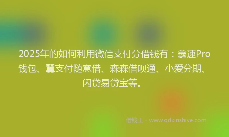 2025年的如何利用微信支付分借钱有：鑫速Pro钱包、翼支付随意借、森森借呗通、小爱分期、闪贷易贷宝等。