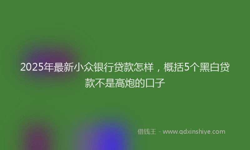 2025年最新小众银行贷款怎样，概括5个黑白贷款不是高炮的口子