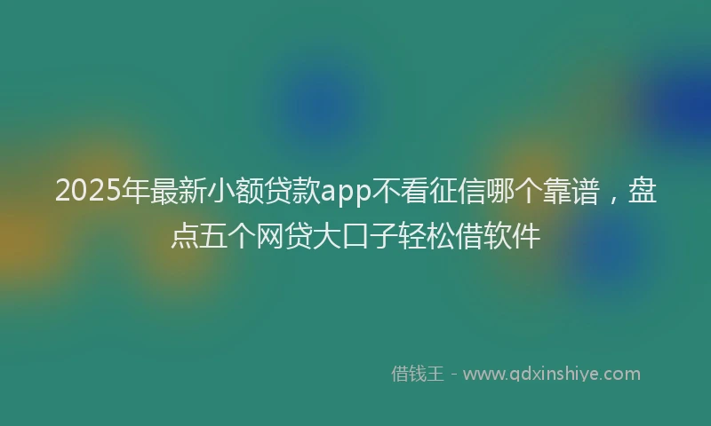 2025年最新小额贷款app不看征信哪个靠谱，盘点五个网贷大口子轻松借软件